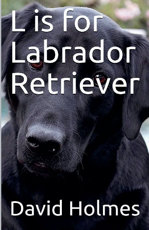L is for Labrador Retriever