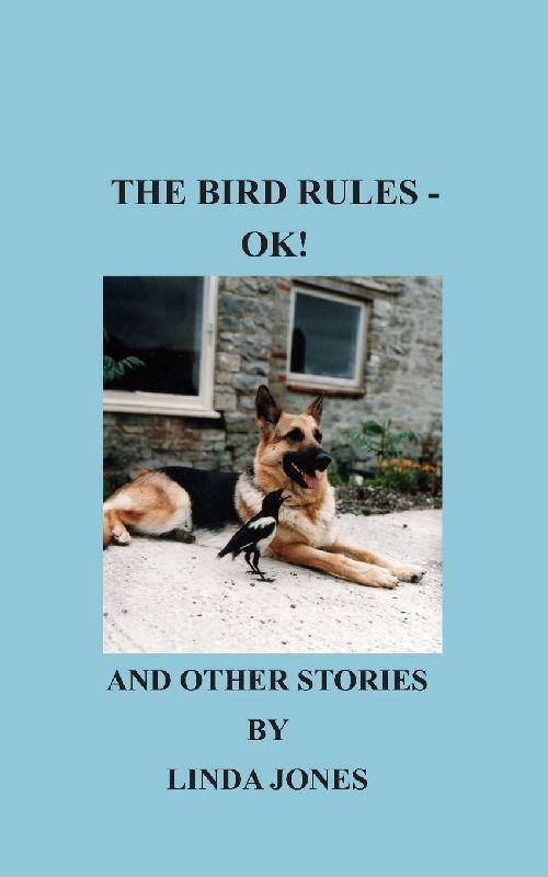 The Bird Rules - OK!