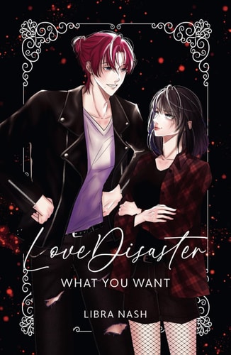 LoveDisaster 1: WHAT YOU WANT (LoveDisaster , Band 1)