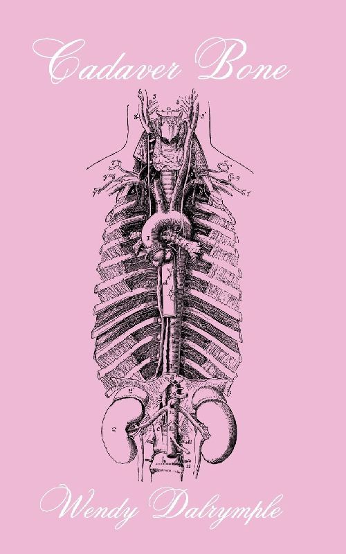 Cadaver Bone