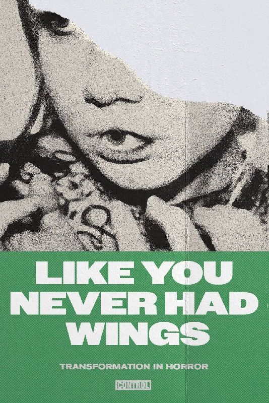 Like You Never Had Wings
