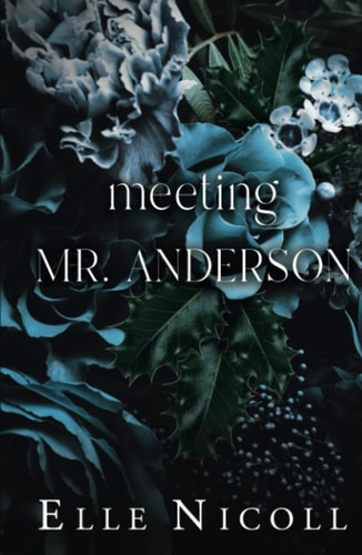 Meeting Mr Anderson (The Men Series - Interconnected Standalone Romances)