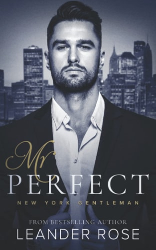 Mr. Perfect: An Enemies to Lovers Office Romance