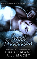 Sweet Possession (Criminal Underground, Band 1)