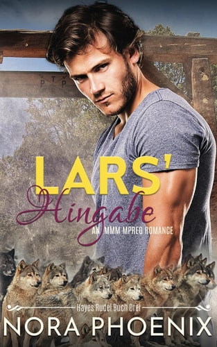 Lars' Hingabe (Hayes Rudel, Band 3)