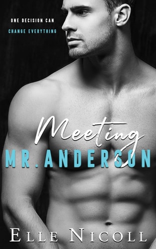 Meeting Mr Anderson (The Men Series - Interconnected Standalone Romances, Band 1)