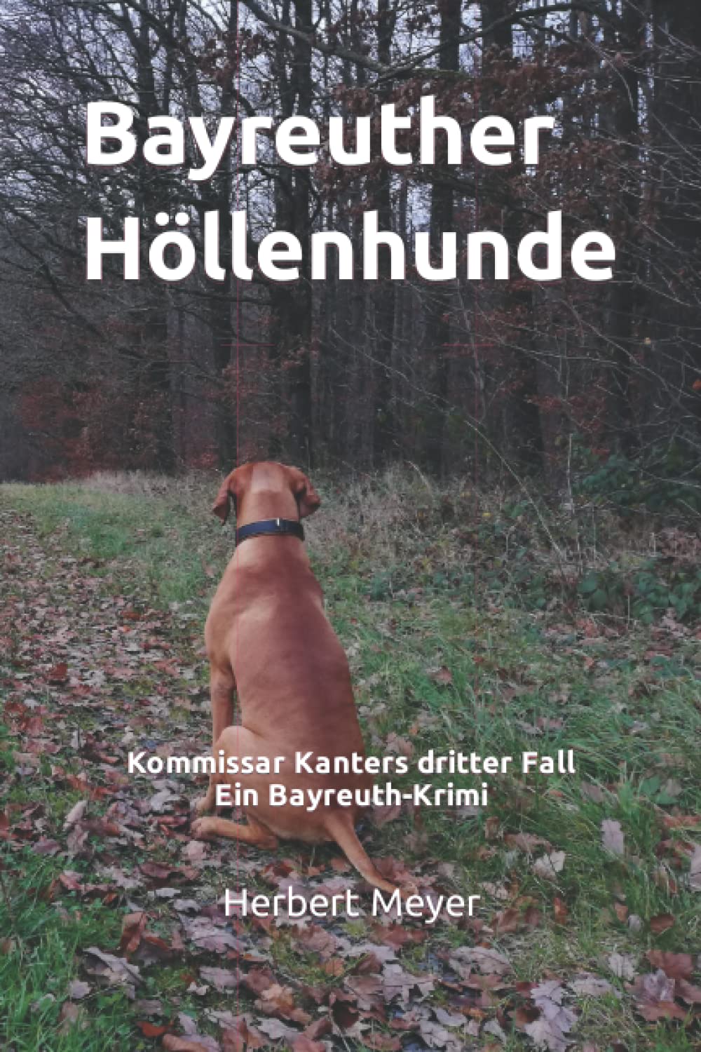 Unbekannter Titel