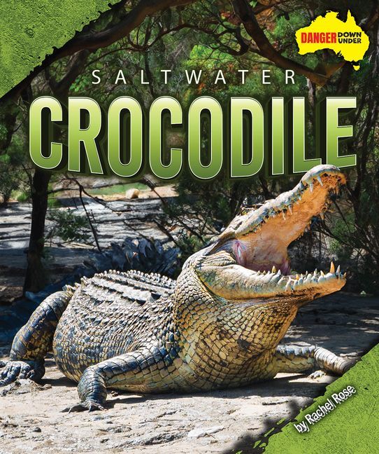 Saltwater Crocodile