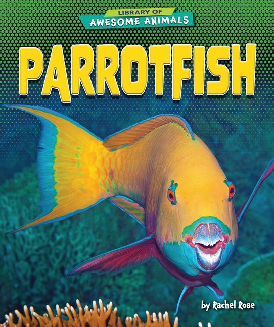 Parrotfish