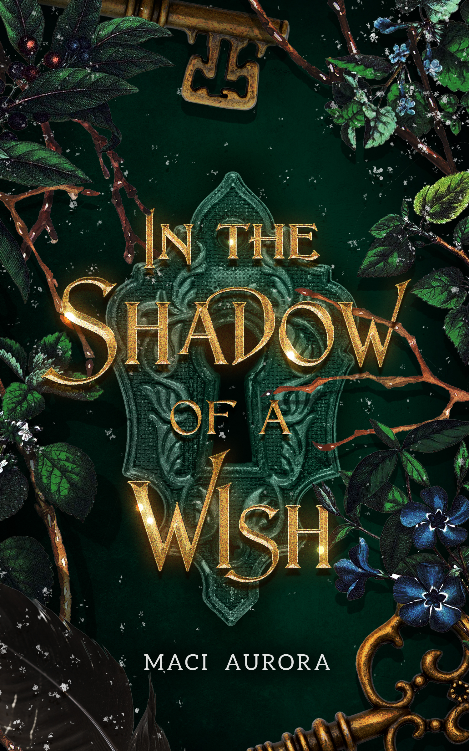 In the Shadow of a Wish: Fareview Fairy Tale, Book 1 (Fareview Fairytales)