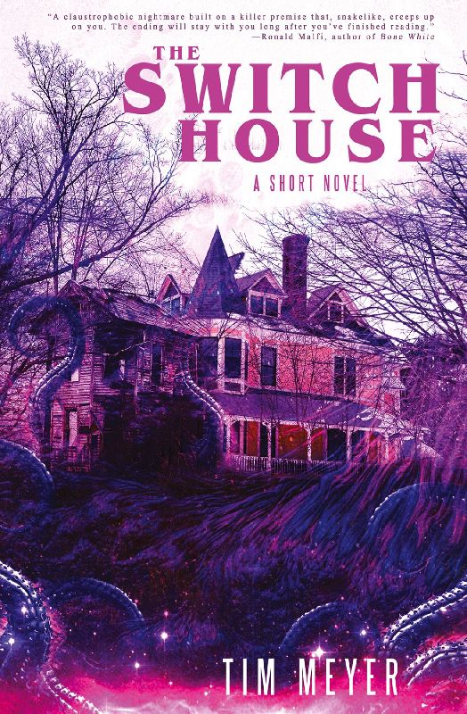 The Switch House