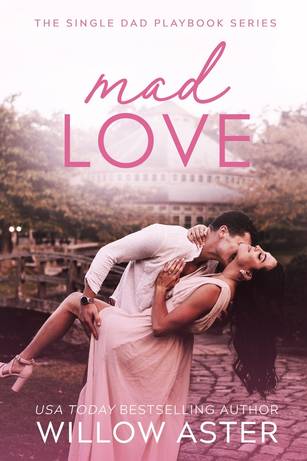 Mad Love: A Small Town, Single Dad, Sports Romance (The Single Dad Playbook)