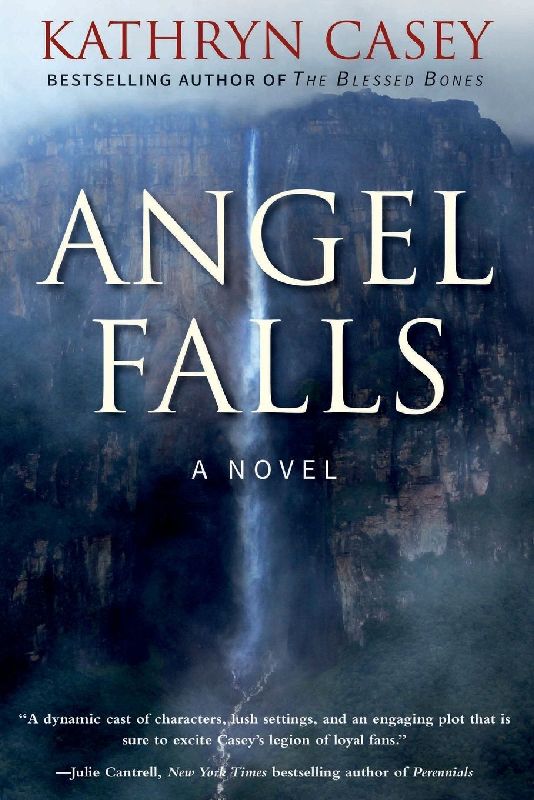 Angel Falls