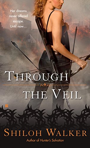 Through the Veil (A Veil Novel Book 1)