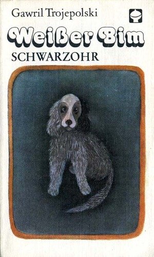 Weißer Bim Schwarzohr