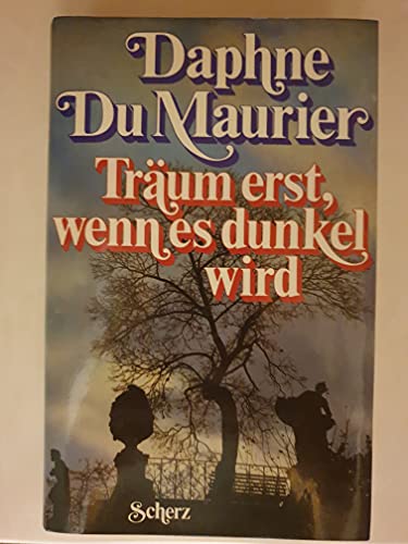 Träum erst, wenn es dunkel wird: Erzählungen