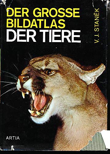 Unbekannter Titel
