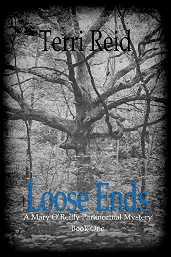 Loose Ends (Mary O'Reilly Series Book 1)