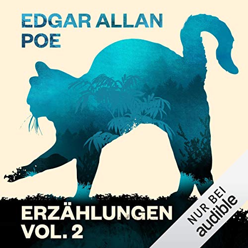 Edgar Allan Poe: Erzählungen 2