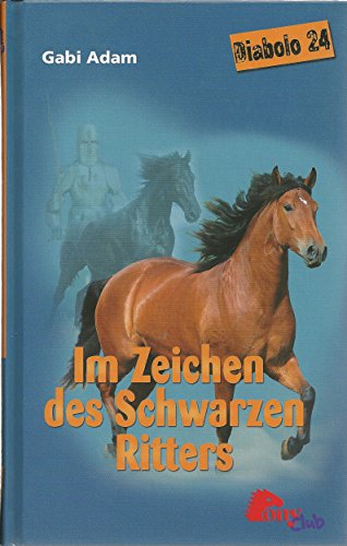 Im Zeichen des schwarzen Ritters (Diabolo 24)