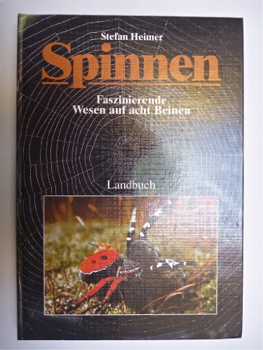 Wunderbare Welt der Spinnen