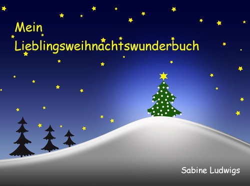 Mein Lieblingsweihnachtswunderbuch