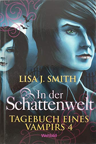 In der Schattenwelt. Tagebuch eines Vampirs 4