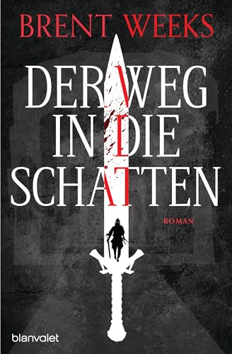 Der Weg in die Schatten: Roman (Schatten-Trilogie 1)