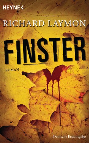 Finster: Roman