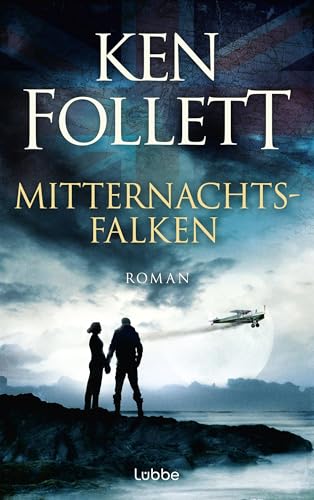 Mitternachtsfalken: Roman