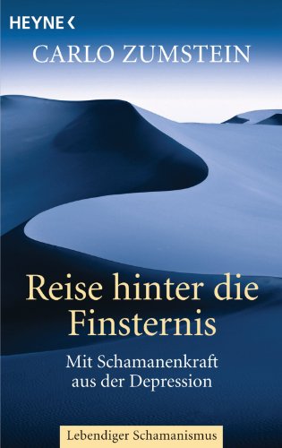 Reise hinter die Finsternis: Mit Schamanenkraft aus der Depression