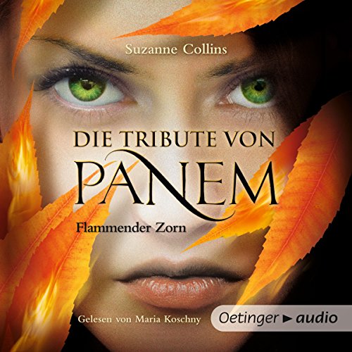 Flammender Zorn: Die Tribute von Panem 3