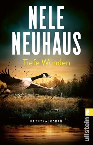 Tiefe Wunden: Drei Morde und ein dunkles Geheimnis: Der packende 3. Fall der Bestseller-Serie (Ein Bodenstein-Kirchhoff-Krimi)