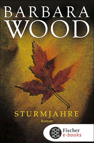 Sturmjahre: Roman