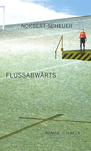 Flußabwärts: Roman