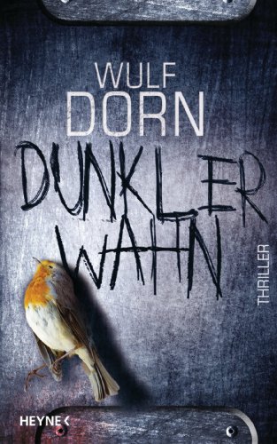 Dunkler Wahn: Thriller
