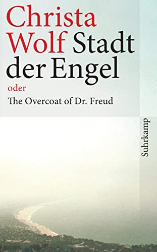 Stadt der Engel: Roman (suhrkamp taschenbuch)