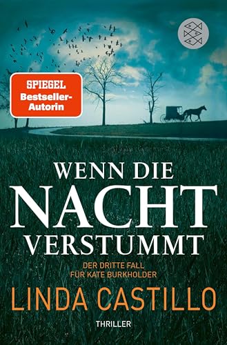 Wenn die Nacht verstummt: Thriller | Spannender Thriller bei den Amischen (Kate Burkholder 3)