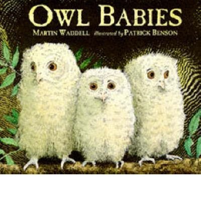 Owl Babies