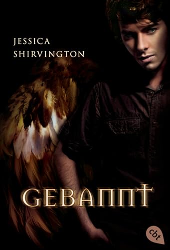 Gebannt: Band 3 (Die Embrace-Reihe)