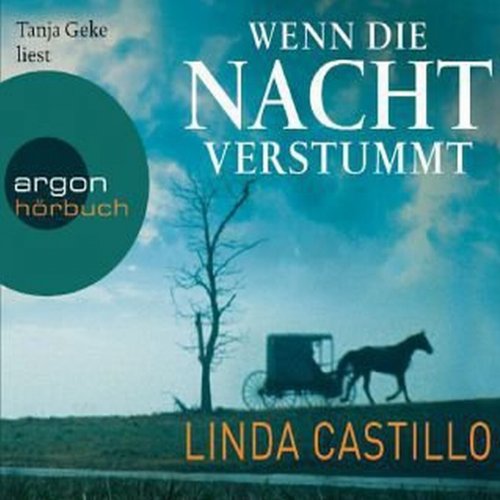 Wenn die Nacht verstummt: Kate Burkholder 3