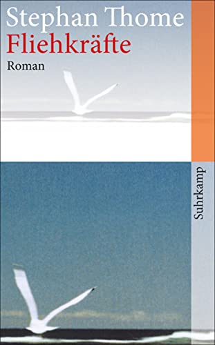 Fliehkräfte: Roman (suhrkamp taschenbuch)