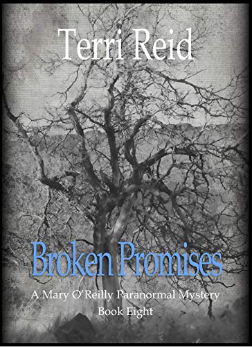 Broken Promises (Mary O'Reilly Series Book 8)