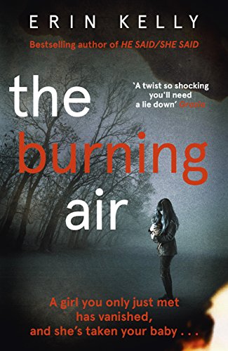 The Burning Air (English Edition)