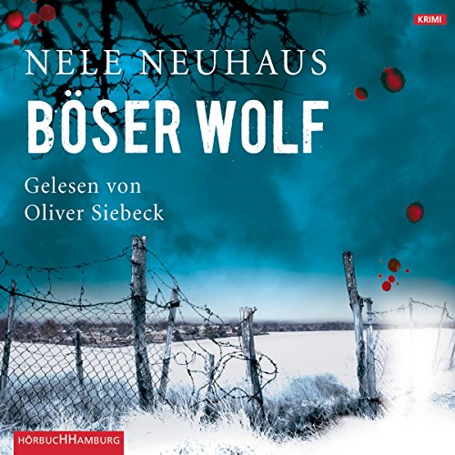 Böser Wolf: Bodenstein & Kirchhoff 6