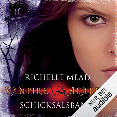 Schicksalsbande: Vampire Academy 6