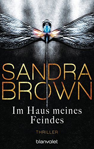 Im Haus meines Feindes: Roman