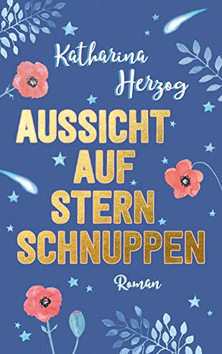 Aussicht auf Sternschnuppen (Liebesroman)