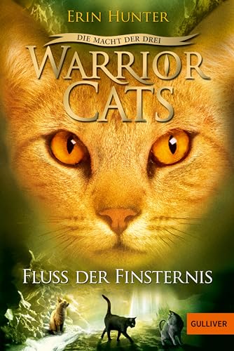 Warrior Cats - Die Macht der drei. Fluss der Finsternis: Staffel III, Band 2 (Warrior Cats, Staffel 3: Die Macht der Drei)