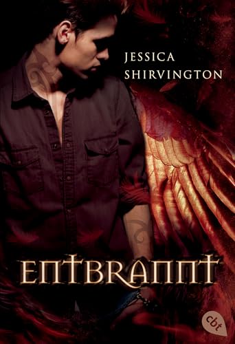 Entbrannt: Band 4 (Die Embrace-Reihe)